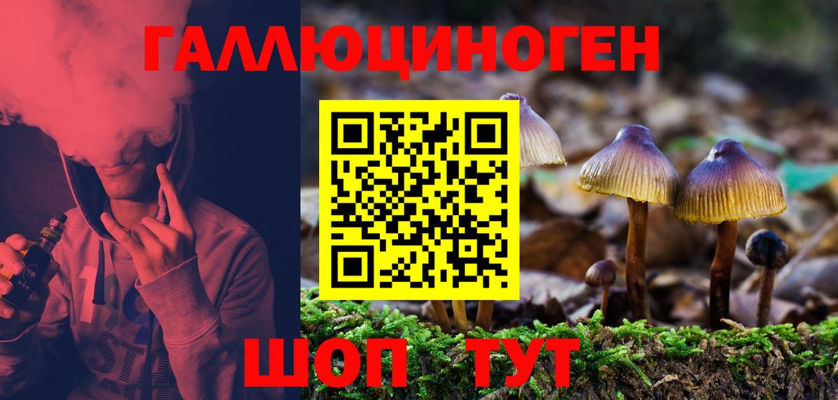 Псилоцибиновые грибы мухоморы Ипатово